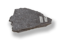 M 02656
<br/>
<br/>
<em></em>